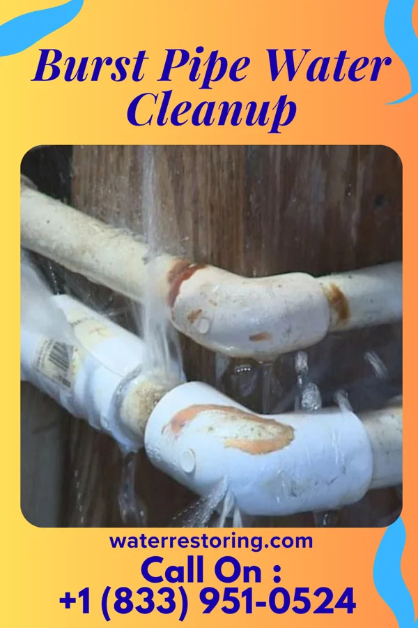 Burst Pipe Water Cleanup in Mendota, IL