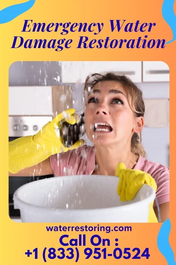 Emergency Water Damage Restoration in Mendota, IL