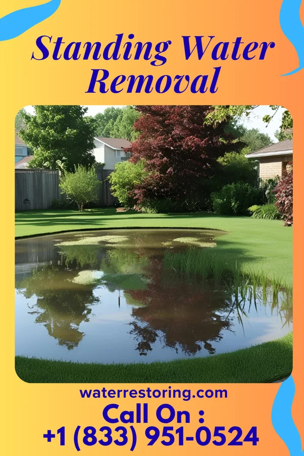Standing Water Removal in Mendota, IL